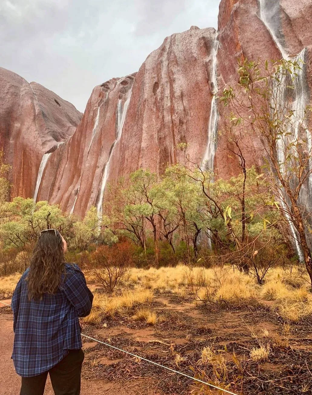 Does Rain Bring Waterfalls or Wildflowers at Uluru?